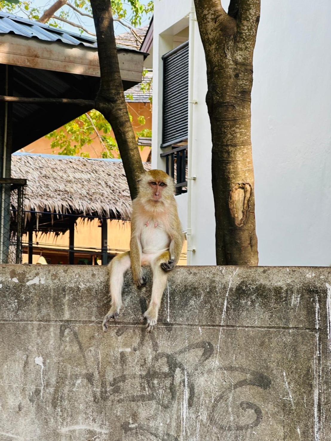 Railay Hilltop Экстерьер фото